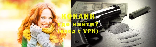 Альфа ПВП Инсар