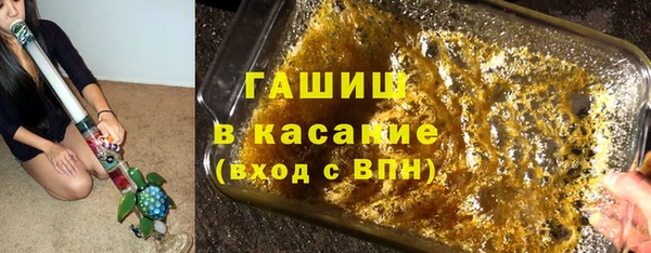 стаф Инта