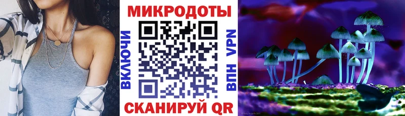 купить наркотик  Чекалин  Псилоцибиновые грибы Psilocybe 