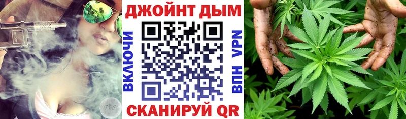 Канабис план  купить закладку  Чекалин 